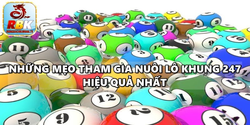 Nuôi Lô Khung 247 – Hướng Dẫn Các Phương Pháp Chơi Phát Tài Nhanh