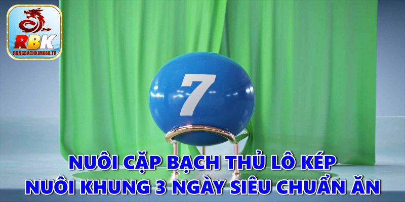 Kinh Nghiệm Lô Kép Nuôi Khung 3 Ngày Siêu Chuẩn Ăn To