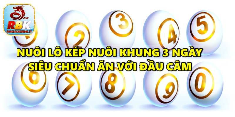 Kinh Nghiệm Lô Kép Nuôi Khung 3 Ngày Siêu Chuẩn Ăn To