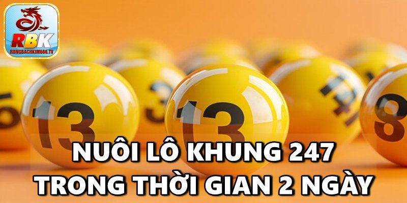 Nuôi Lô Khung 247 – Hướng Dẫn Các Phương Pháp Chơi Phát Tài Nhanh