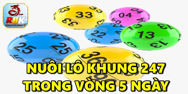 Nuôi Lô Khung 247 – Hướng Dẫn Các Phương Pháp Chơi Phát Tài Nhanh