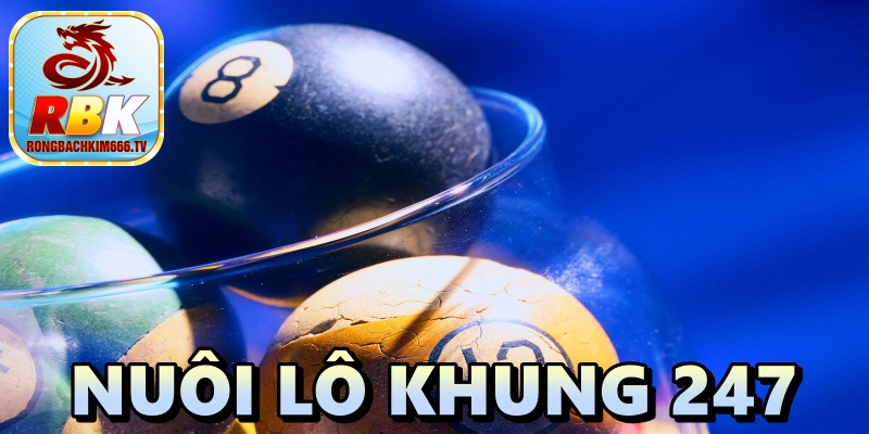 Nuôi Lô Khung 247 – Hướng Dẫn Các Phương Pháp Chơi Phát Tài Nhanh