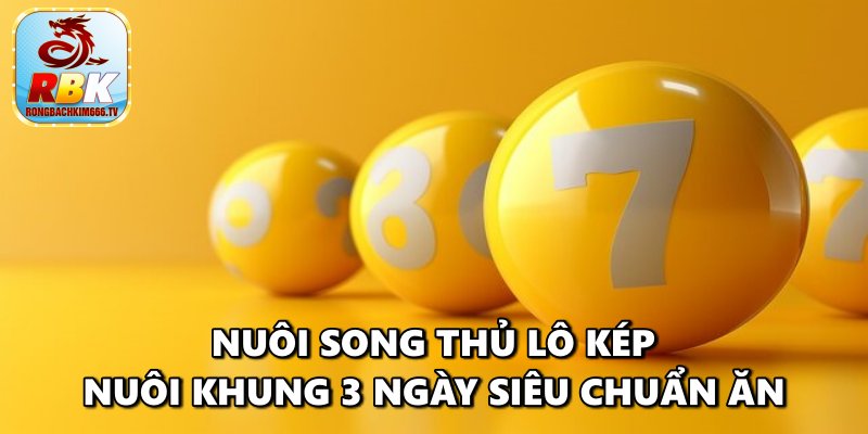 Kinh Nghiệm Lô Kép Nuôi Khung 3 Ngày Siêu Chuẩn Ăn To