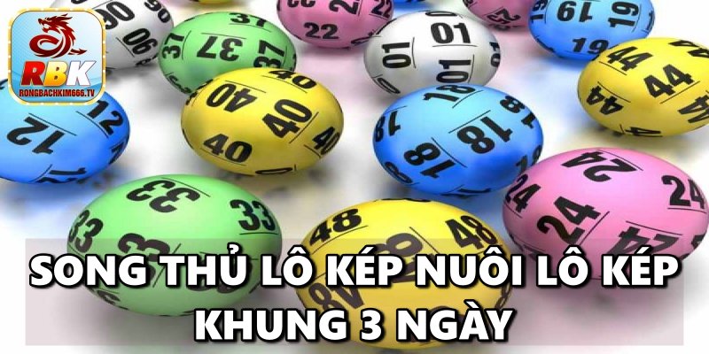 Lô Kép Khung 3 Ngày – Cách Soi Cầu Lô Kép Chính Xác Nhất