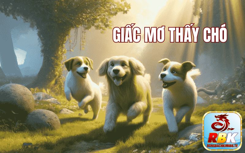 Mơ Thấy Chó Đánh Con Gì? Là Điềm Hung Hay Cát