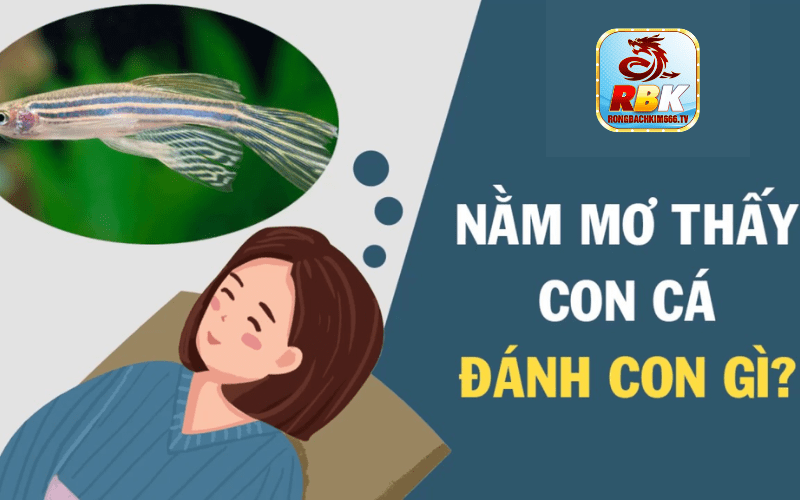 Mơ Thấy Cá Đánh Con Gì? Mẹo Hay Thắng Đề 