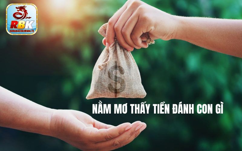 Nằm Mơ Thấy Tiền Đánh Con Gì? Con Số May Mắn 