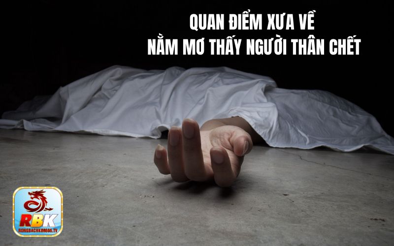 Giải Mã Nằm Mơ Thấy Người Thân Chết Đánh Con Gì? 