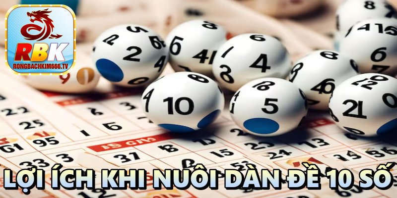 Dàn Đề 10 Số: Cách Nuôi Dàn Đề Bất Bại Cực Dễ