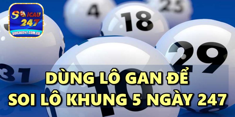 Hướng Dẫn Nuôi Lô Khung 5 Ngày 247 Miễn Phí Bất Bại