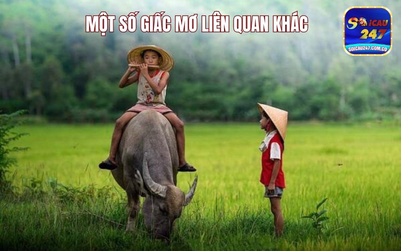 Mơ Thấy Trâu Đánh Con Gì Để Thắng Lớn, Ăn Thưởng To