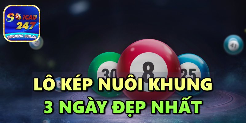 Mẹo Nuôi Lô Kép Nuôi Khung 3 Ngày Đẹp Nhất Hiện Nay