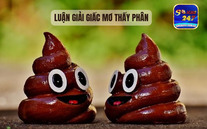 Giải Mộng Chiêm Bao Mơ Thấy Cứt Đánh Con Gì?  