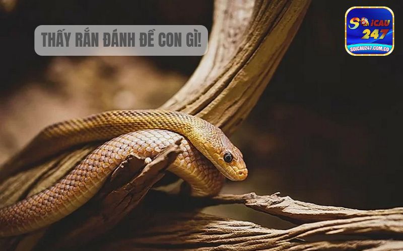 Nằm Mơ Thấy Rắn Cắn Đánh Con Gì? Ngụ Ý Điều Gì