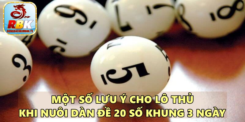 Nuôi Dàn Đề 20 Số Khung 3 Ngày Siêu Víp Soi Cầu Chuẩn