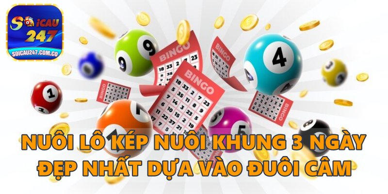 Mẹo Nuôi Lô Kép Nuôi Khung 3 Ngày Đẹp Nhất Hiện Nay