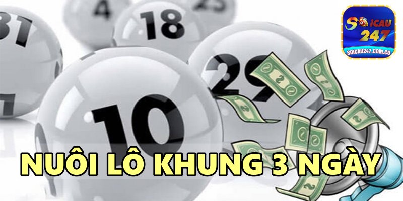 Chuyên Mục Nuôi Lô Khung Tại Soi Cầu 247