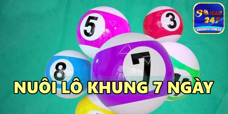 Chuyên Mục Nuôi Lô Khung Tại Soi Cầu 247