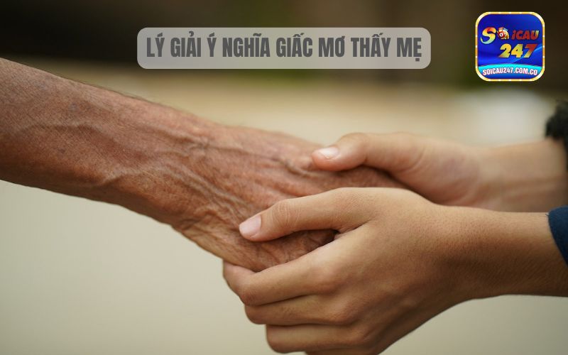 Giải Mã Chi Tiết Ý Nghĩa Mơ Thấy Mẹ Đánh Con Gì? 