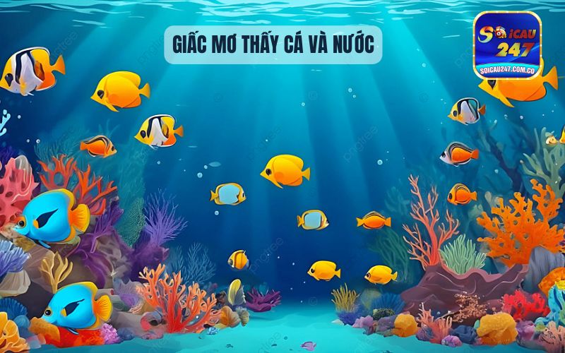 Nằm Mơ Thấy Cá Và Nước Đánh Con Gì? Con Số May Mắn