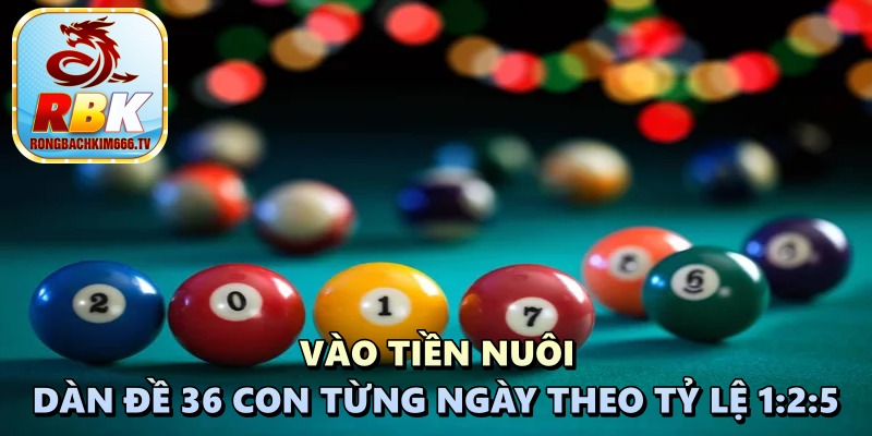 Hướng Dẫn Nuôi Dàn Đề 36 Con Từng Ngày Vip