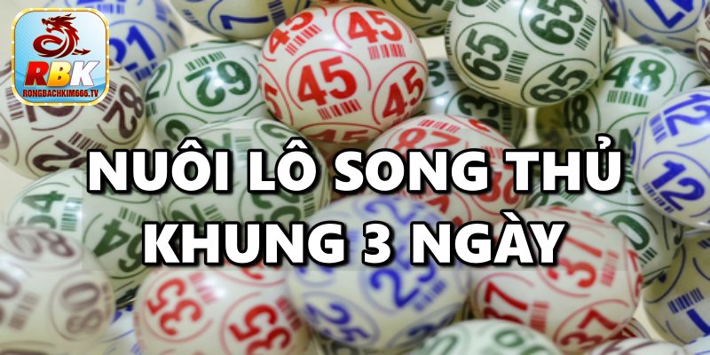 Nuôi Lô Song Thủ Khung 3 Ngày Miễn Phí Hiệu Quả Ăn Thông