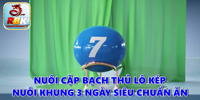 Kinh Nghiệm Lô Kép Nuôi Khung 3 Ngày Siêu Chuẩn Ăn To