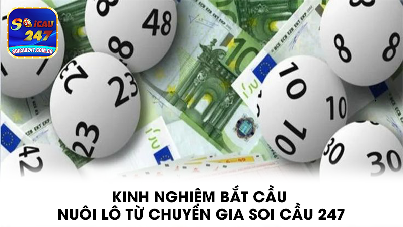 Soi cầu 247 – Bí quyết soi cầu chính xác cho dân lô đề